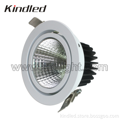 Bridgelux COB 14W LED Downlight /Down Light/Down Lamp-CE, RoHS, Round, Adjustable